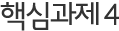 핵심과제4